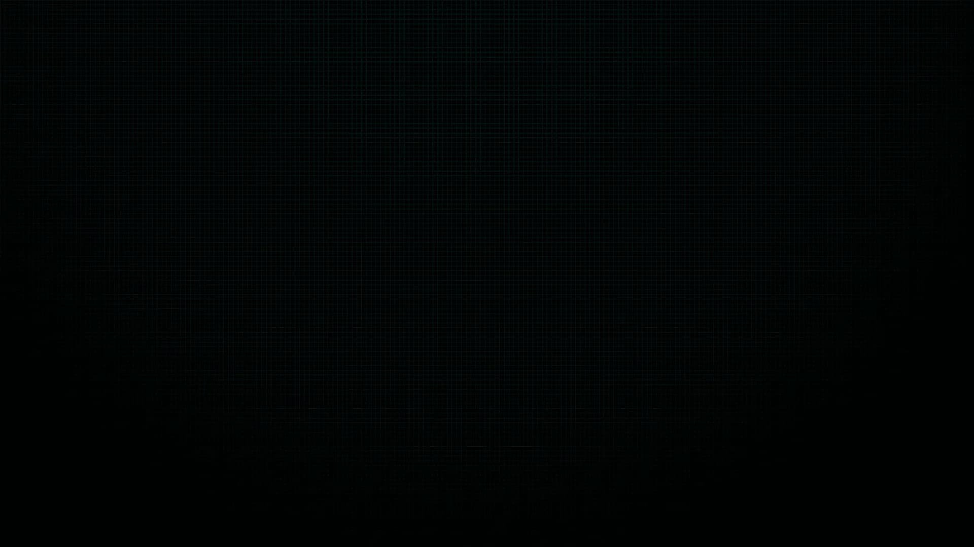 Equipe IGF em ação no escritório